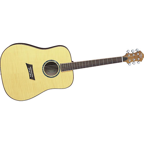 Visionary Dreadnaught 45F Acoustic Guitar