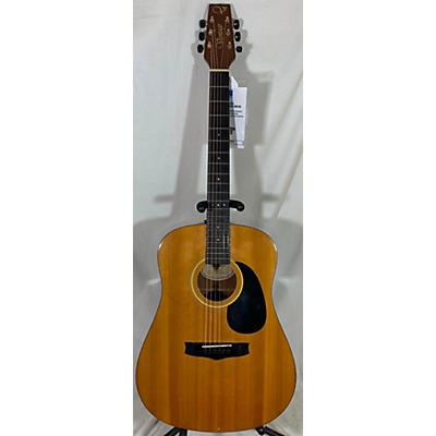 Vantage Vs 5 Acoustic Guitar