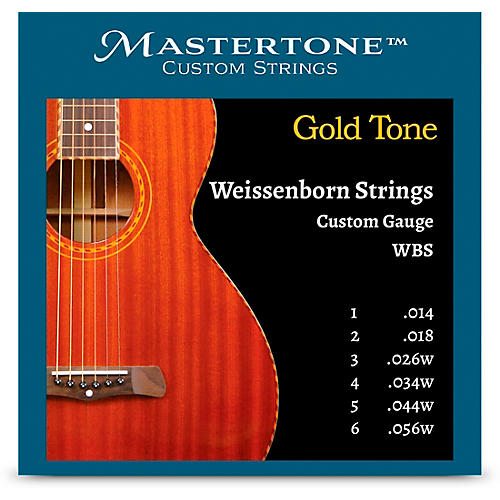 Gold Tone WBS Weissenborn Strings