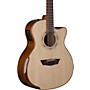 Open-Box Washburn WCG15SCE12 12-String Acoustic-Electric Guitar Condition 2 - Blemished 197881324612