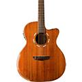 Washburn WCG55CE Comfort Acoustic-Electric Guitar Condition 2 - Blemished  197881324780Condition 2 - Blemished  197881324780