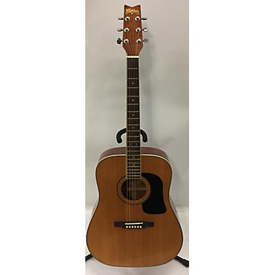 Washburn WD10S Acoustic Guitar