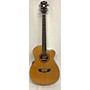 Used Washburn WF19CE Acoustic Electric Guitar Natural