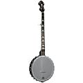 Gold Tone WL-250 White Ladye Open Back Banjo Condition 2 - Blemished Vintage Brown 197881457358Condition 2 - Blemished Vintage Brown 197881457365