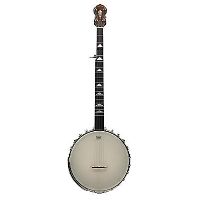Gold Tone WL250 Banjo