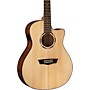 Washburn WLO10SCE Woodline 10 Series Acoustic-Electric Guitar