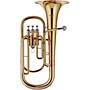 Open-Box Stagg WS-BH235 Series Bb Baritone Horn Condition 2 - Blemished Clear Lacquer 197881177072