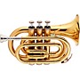 Stagg WS-TR245 Series Bb Pocket Trumpet Clear Lacquer