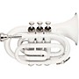 Stagg WS-TR245 Series Bb Pocket Trumpet White