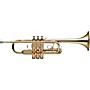 Stagg WS-TR255 Series C Trumpet Clear Lacquer