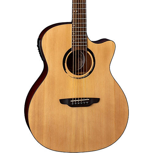 washburn wcg70sceg