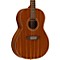 Woodland Pro Folk Mahogany Acoustic Guitar Level 1