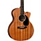 X Series GPCX2AE Macassar Grand Performance Acoustic-Electric Guitar Level 1 Natural