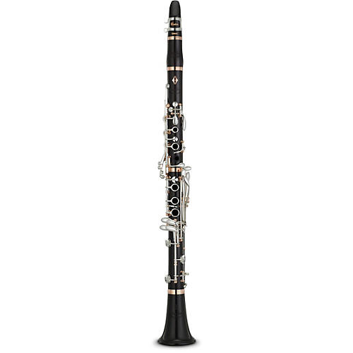 Yamaha YCL-SE Artist Model Professional Bb Clarinet