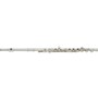Open-Box Yamaha YFL-262Y Standard Flute Condition 2 - Blemished Offset G, C-Foot 194744894879