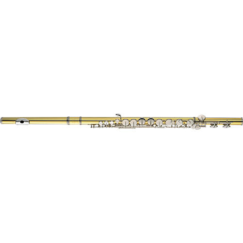 Yamaha YFL-A421 Professional Alto Flute YFL-A421BII with Straight and Curved Headjoints