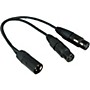 ProCo YMXM2XF-1 Y Mic Cable Male XLR to 2 Female XLR 1 ft.