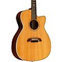 Alvarez Yairi WY1 Cutaway Folk-OM Acoustic-Electric Guitar Natural 76188