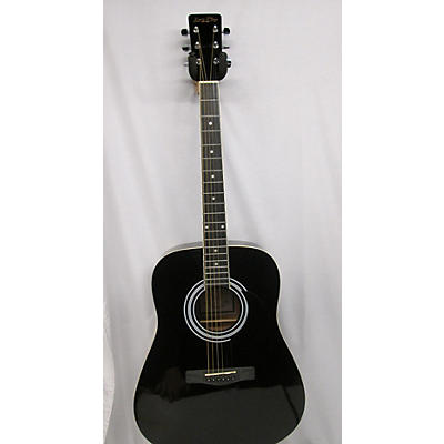 Zager ZAD01 PK Acoustic Guitar