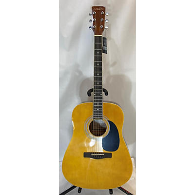 Zager ZAD01PK Acoustic Electric Guitar