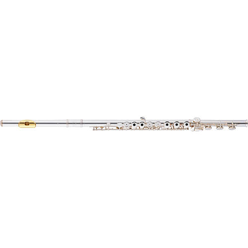 diMedici 1011 Series Flute with Gold Lip-Plate