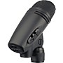 Open-Box CAD e60 Cardioid Condenser Microphone Condition 2 - Blemished Black 190839741080