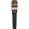 enCORE 200 Dynamic Live Vocal Microphone Level 2  888365376424