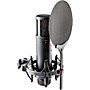 Open-Box sE Electronics sE2200 Large-Diaphragm Condenser Microphone Condition 1 - Mint